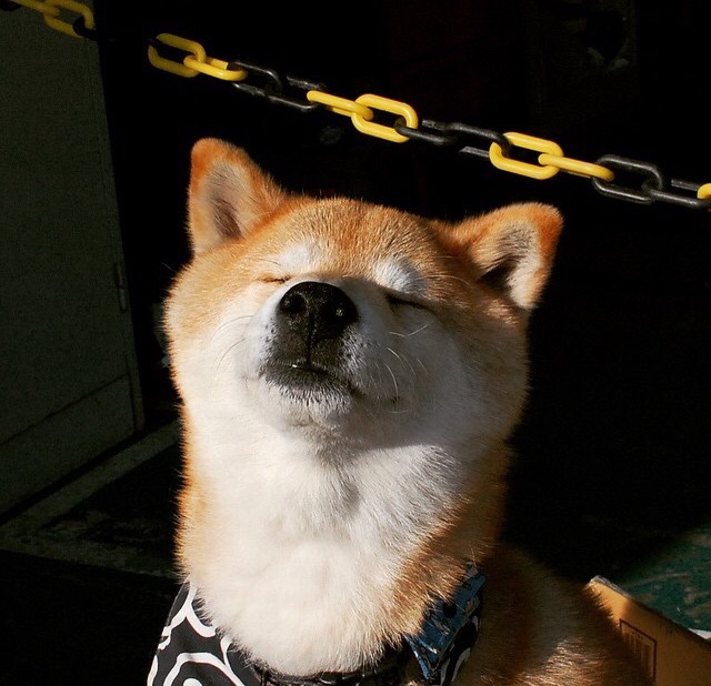 中国篮球运动员专项技术动作力学分析,篮球运动员力量标准