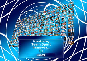 华体会app注册-球迷盛典：现场氛围与体育精神的融合，球迷知识