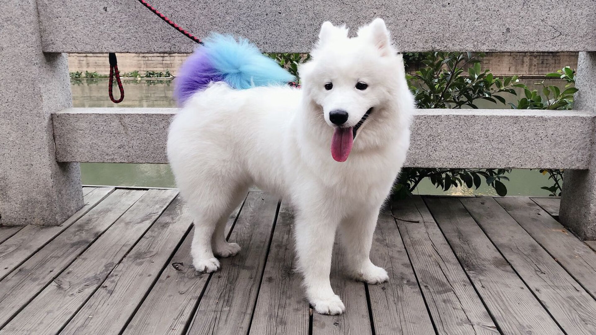 英超球队结合GPS数据调整赛季训练强度,英超训练基地排名