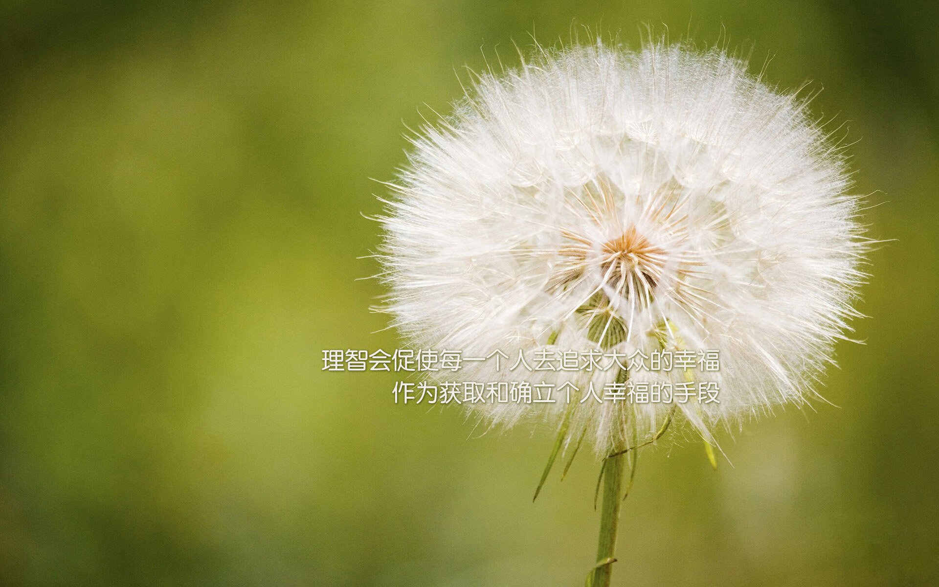 CBA球队发展教练梯队储备战术资源,cba的教练有哪几个