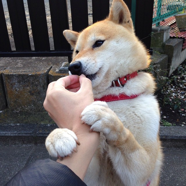 华体会-中超联赛中国足球战平 球员状态整体平稳，中超国足比拼