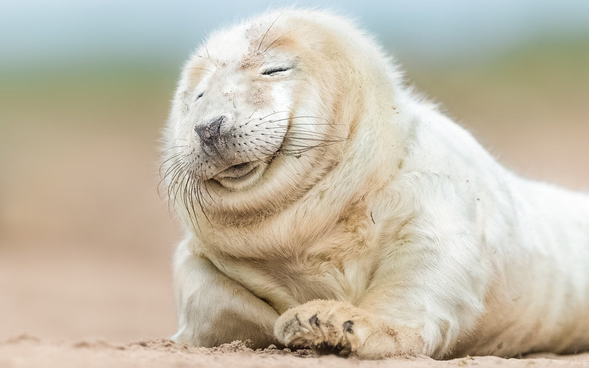 主场气氛热烈是否会干扰客队罚球,足球比赛主场客场是什么意思