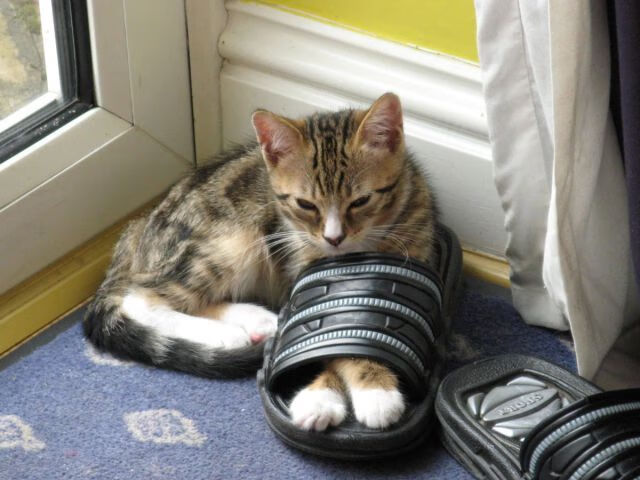 五大联赛是否强化非持球球员在进攻端的空间跑动配合,五大联赛非欧名额