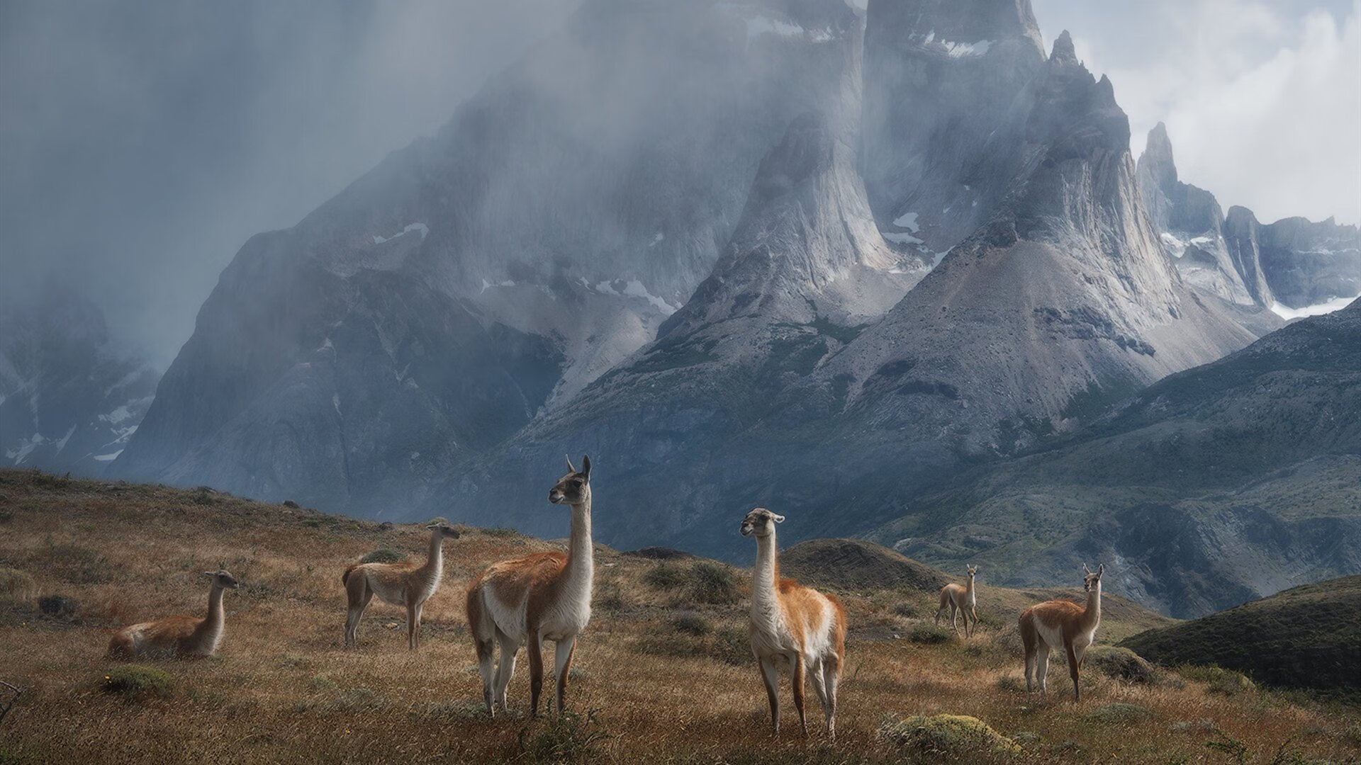 体育明星代言的边界在哪,体育明星代言人