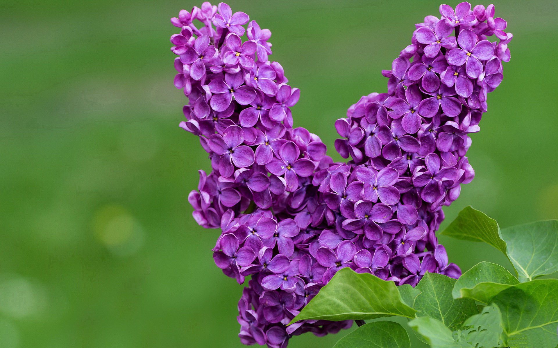 胜负平赛果对争冠球队心理影响与修复机制,胜平负是90分钟还是120分钟