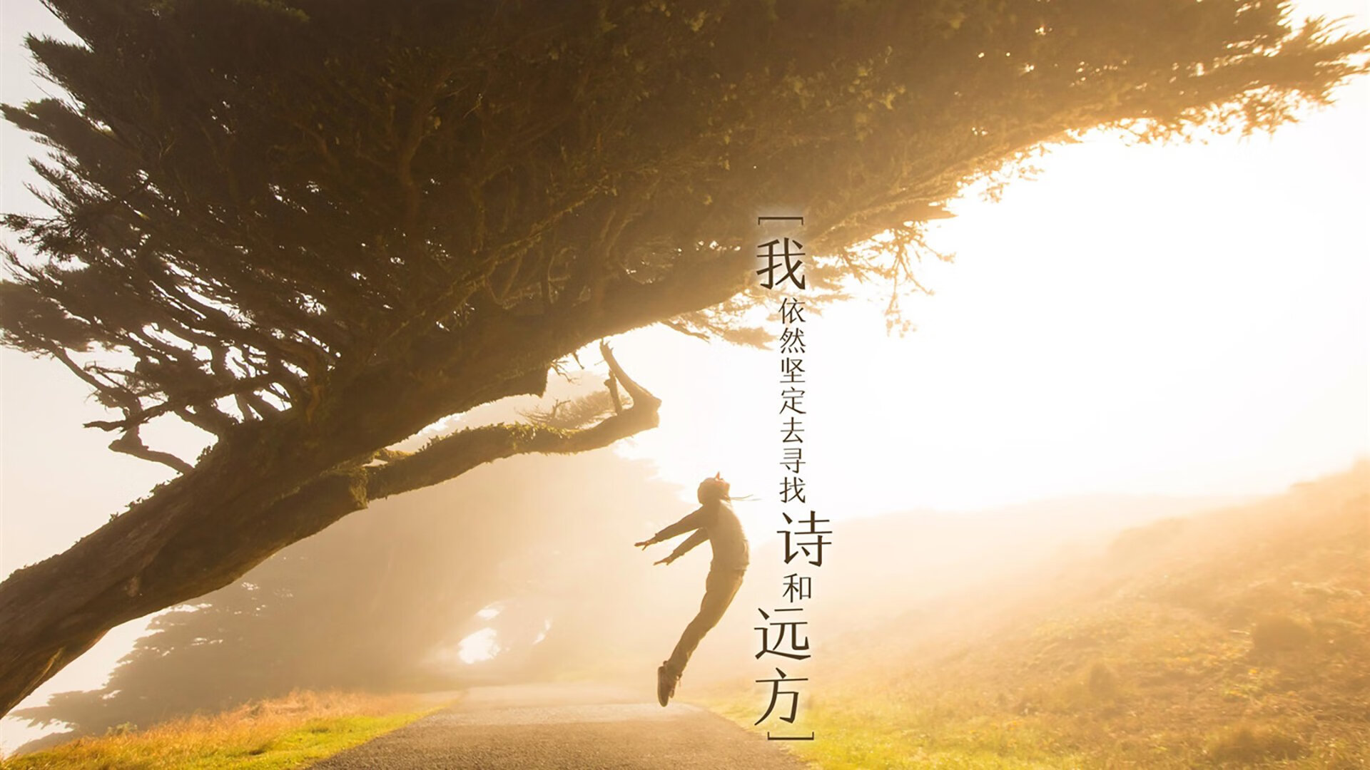 中国足球国家队技术团队扩充,中国足球国家队技术团队扩充了吗