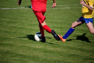 华体会app-中小学篮球教研活动不断创新教学方法提升训练效果，篮球教研活动总结