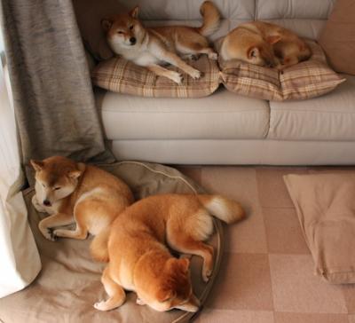 快船教练组制定周训练计划提高防守强度,2020快船教练