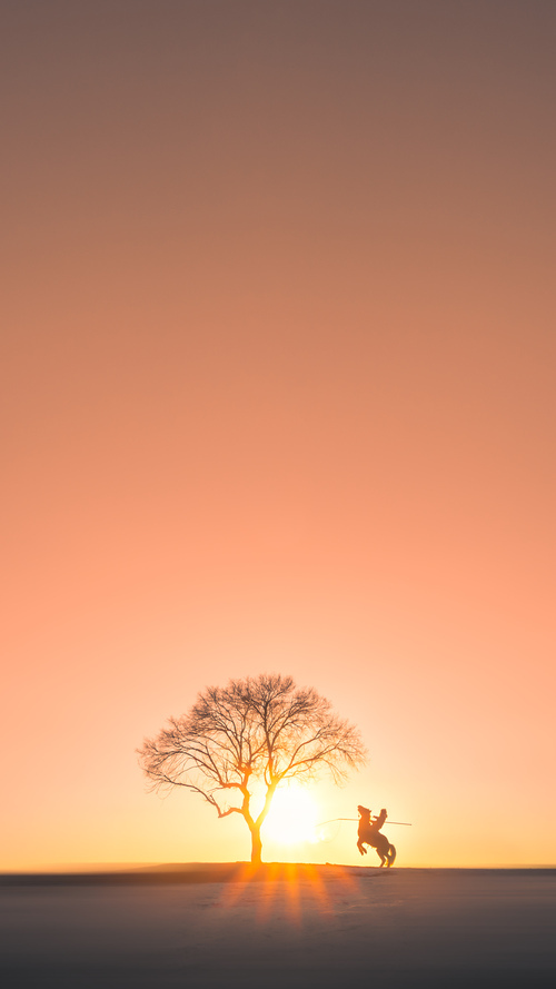 简:全黑队边锋位置的核心人物,突破能力无可匹敌