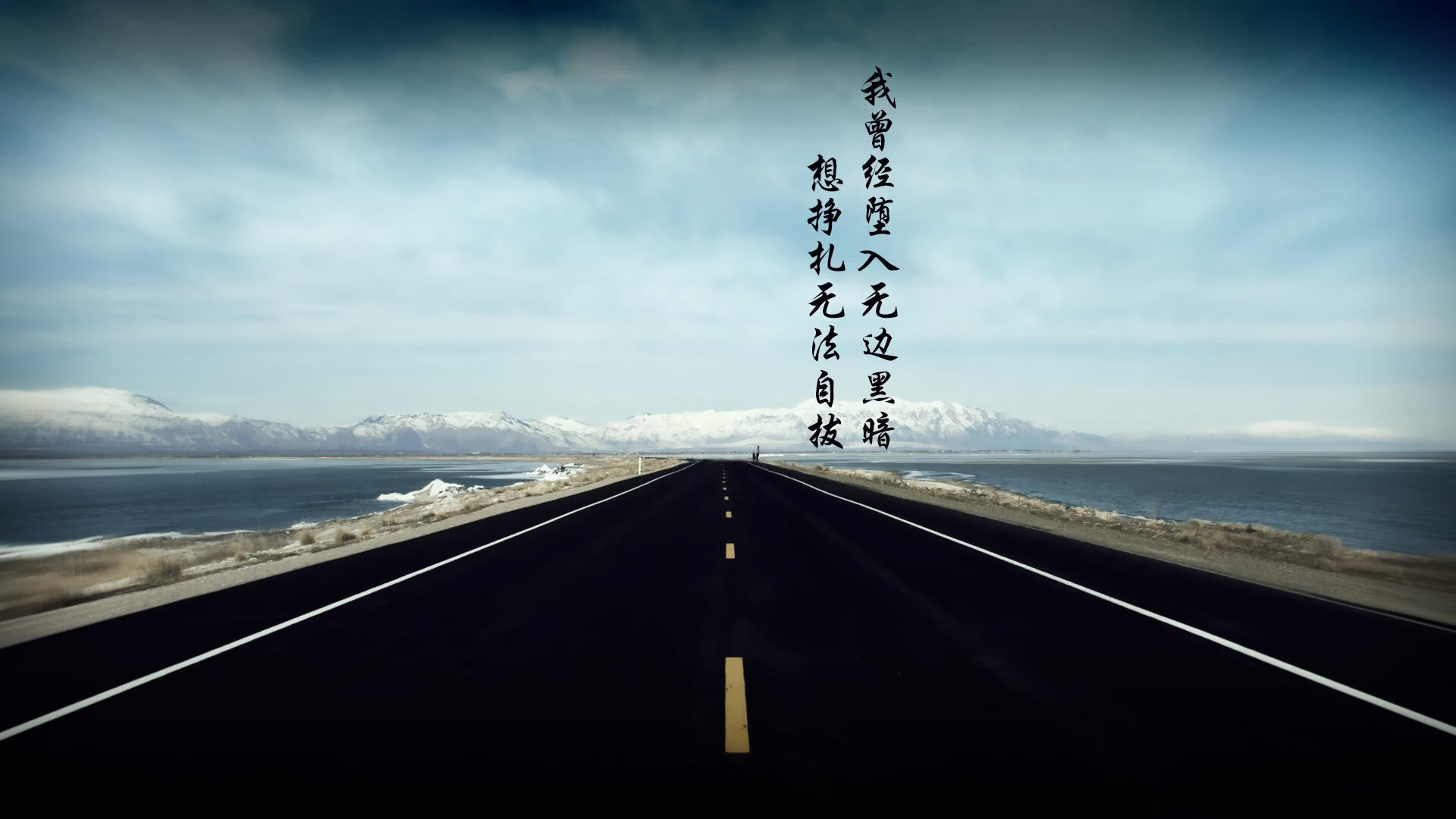 蝶泳划频精准,爆发力提升显著,蝶泳划水要领